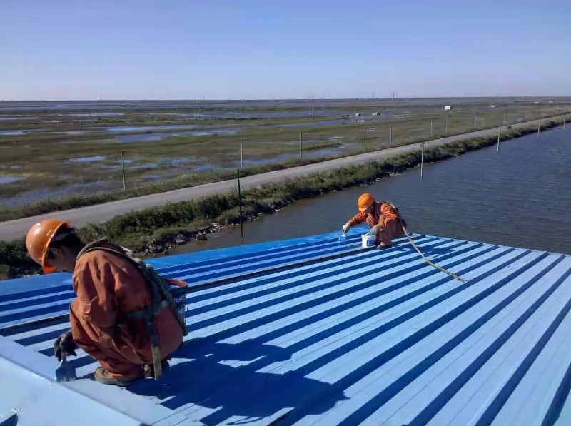 沙洋钢结构屋面漏水原因